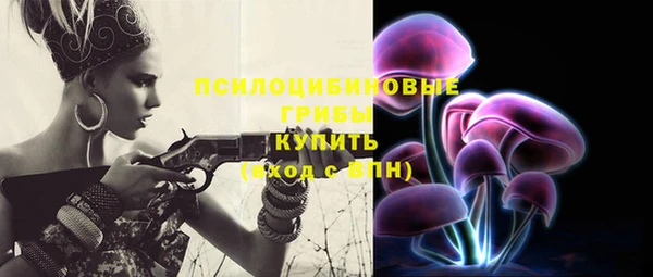 Альфа ПВП Абаза