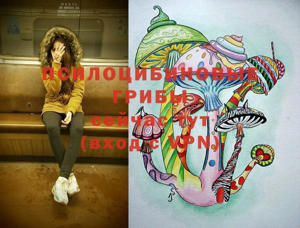 Альфа ПВП Абаза