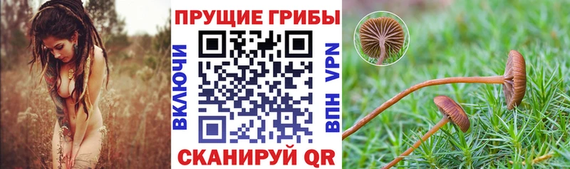 Галлюциногенные грибы прущие грибы Тырныауз